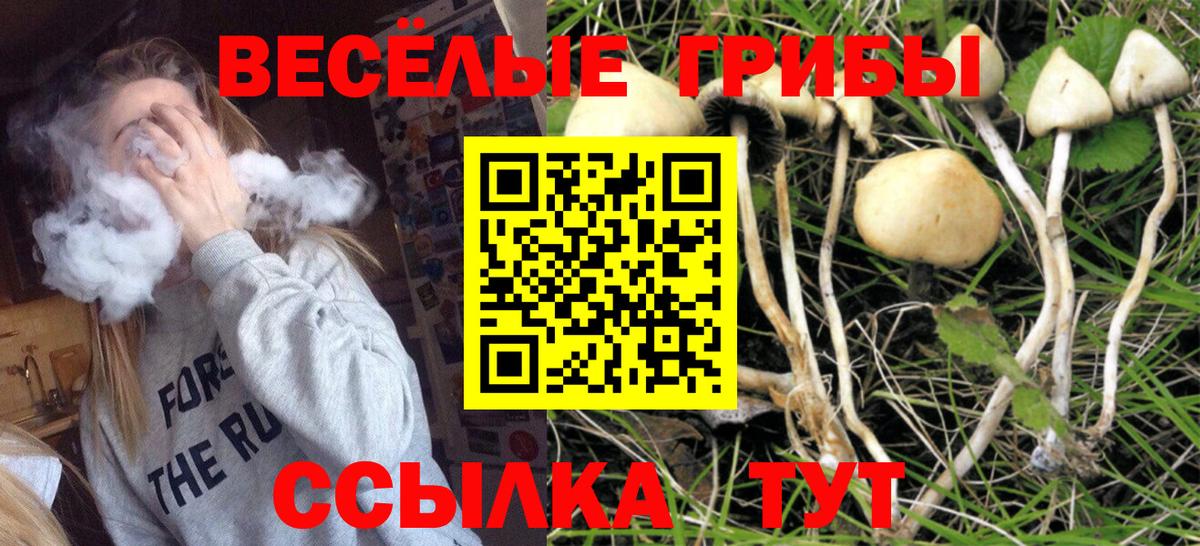 Галлюциногенные грибы мицелий  Вход с VPN  Трёхгорный  Галлюциногенные грибы ЛСД 