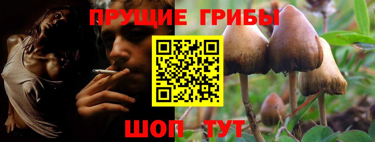 Псилоцибиновые грибы прущие грибы Трёхгорный